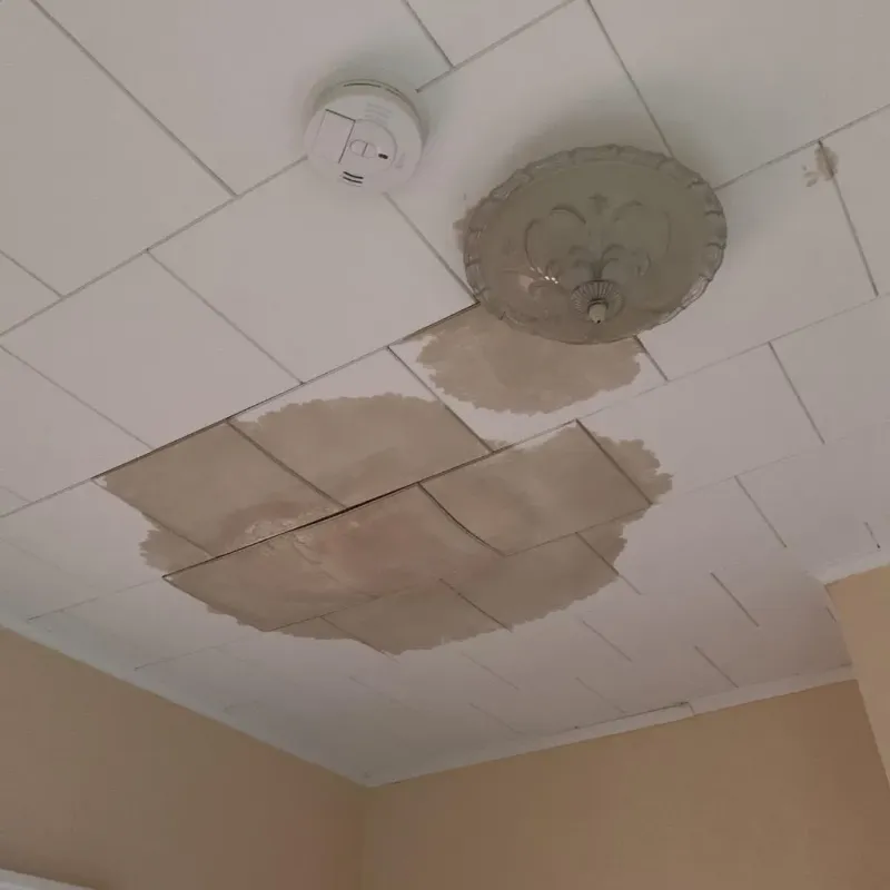 Ceiling Water Damage Repair in Cambridge, NE