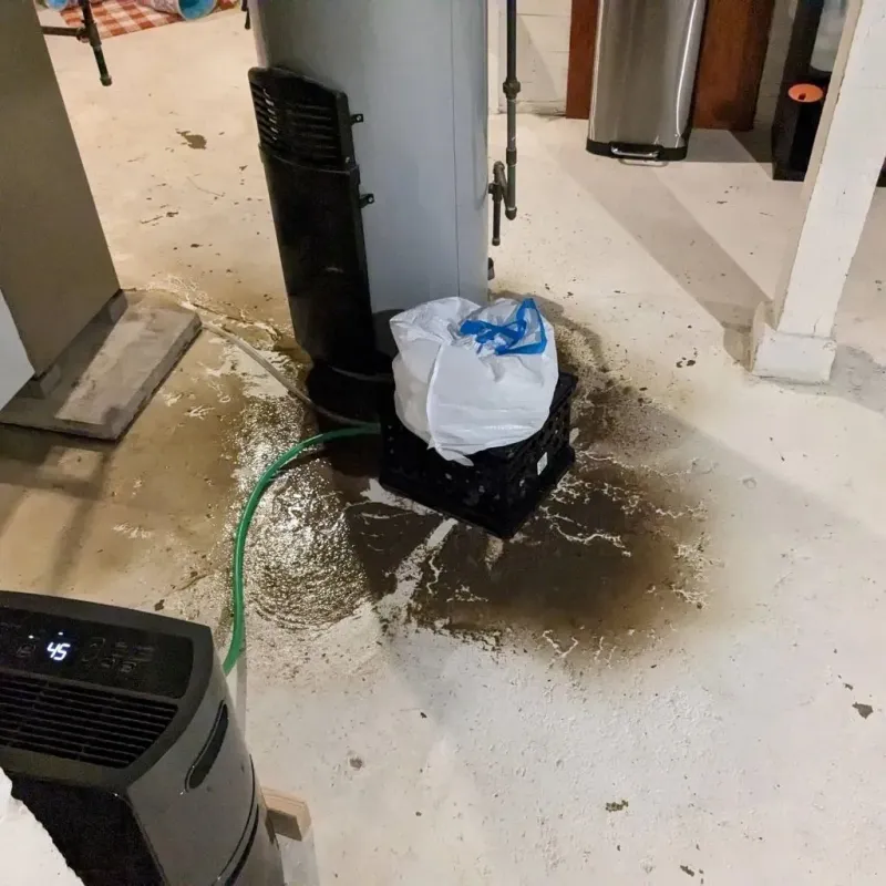 Sewage Backup Cleanup Service in Cambridge, NE